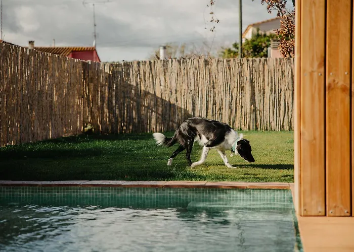 Emporda Soul, Moderna Con Piscina
